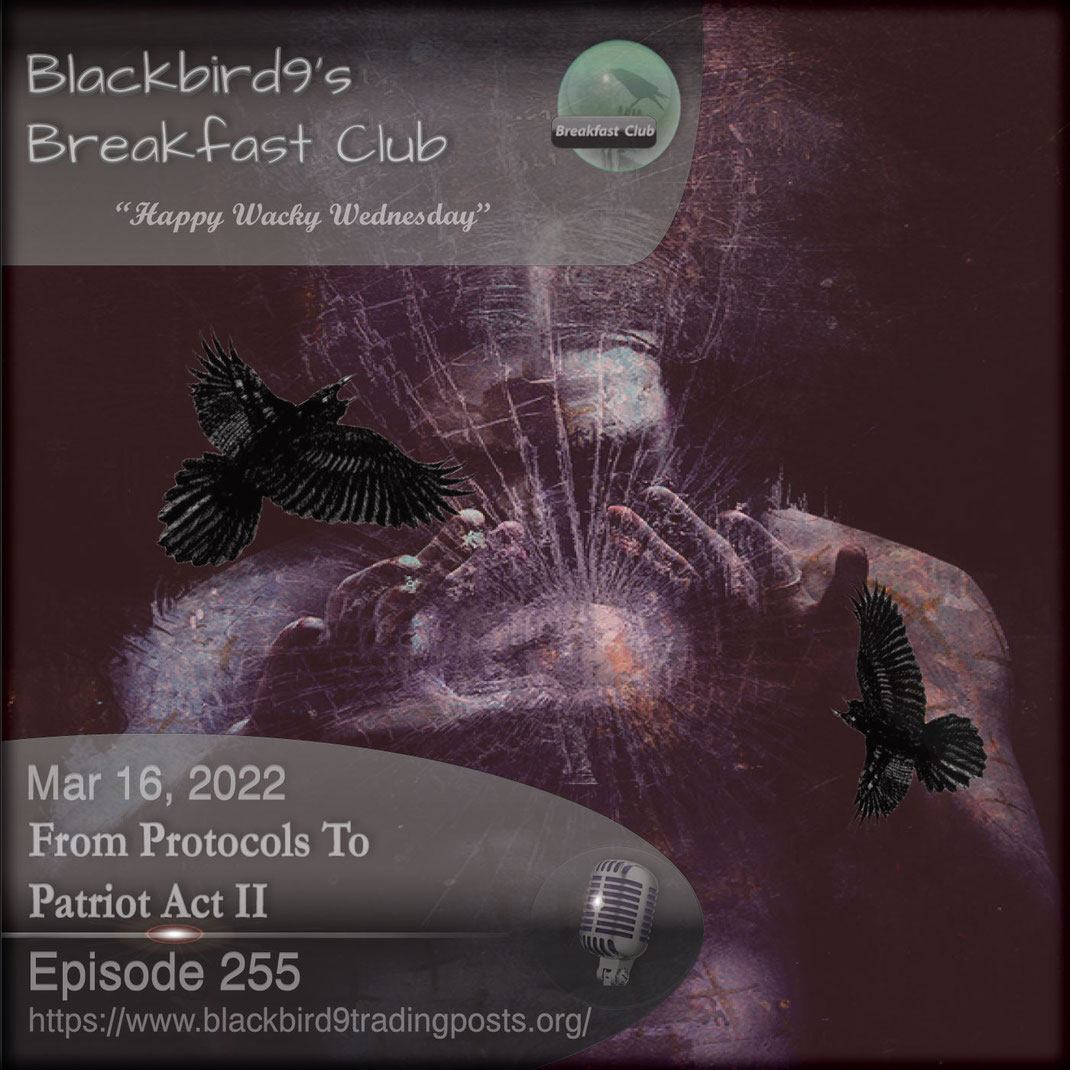 From Protocols To Patriot Act II - Blackbird9