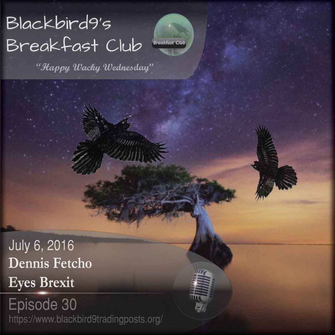 Dennis Fetcho Eyes Brexit - Blackbird9