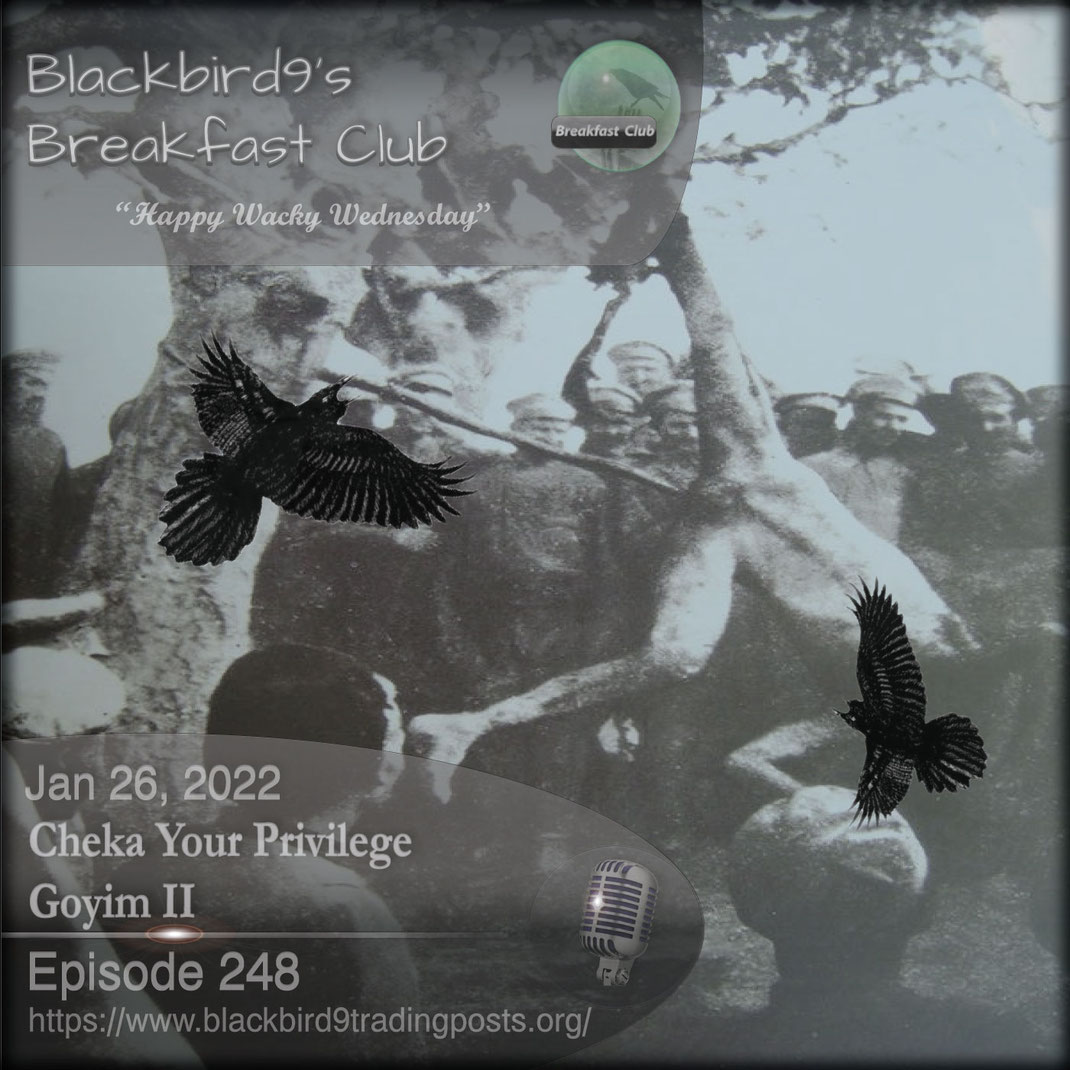 Cheka Your Privilege Goyim II - Blackbird9