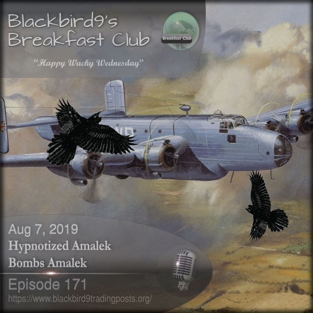 Hypnotized Amalek Bombs Amalek - Blackbird9