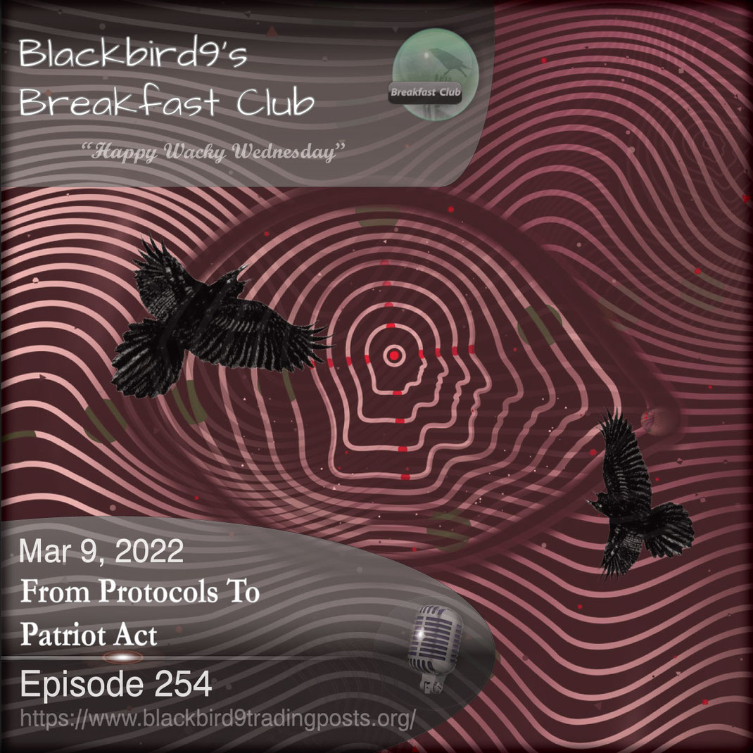 From Protocols To Patriot Act - Blackbird9