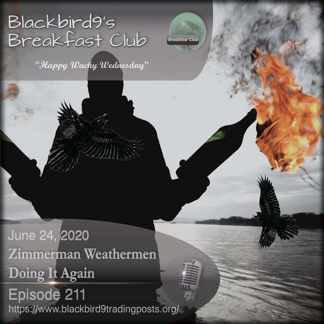 Zimmerman Weathermen Doing It Again - Blackbird9