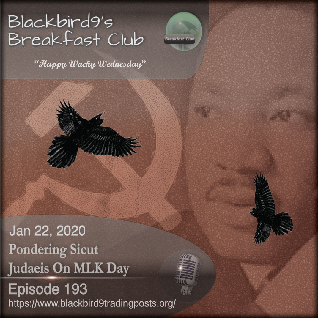 Pondering Sicut Judaeis On MLK Day - Blackbird9