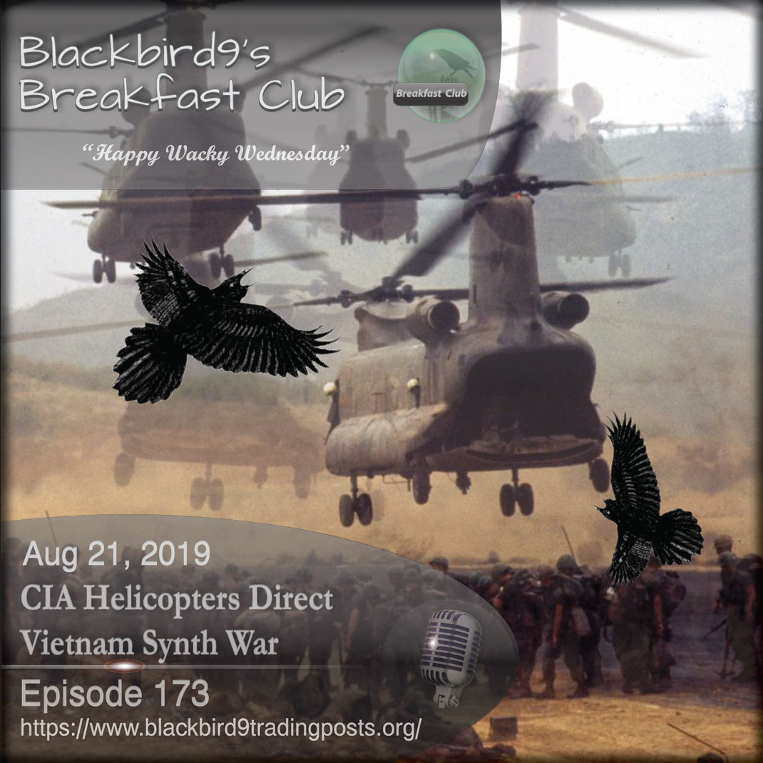 CIA Helicopters Direct Vietnam Synth War - Blackbird9