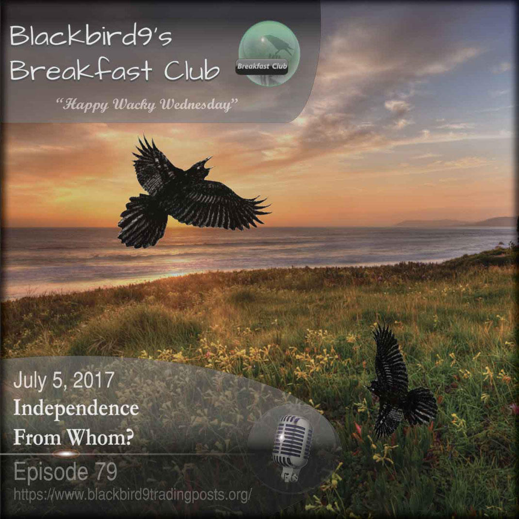 Independence From Whom  Blackbird9