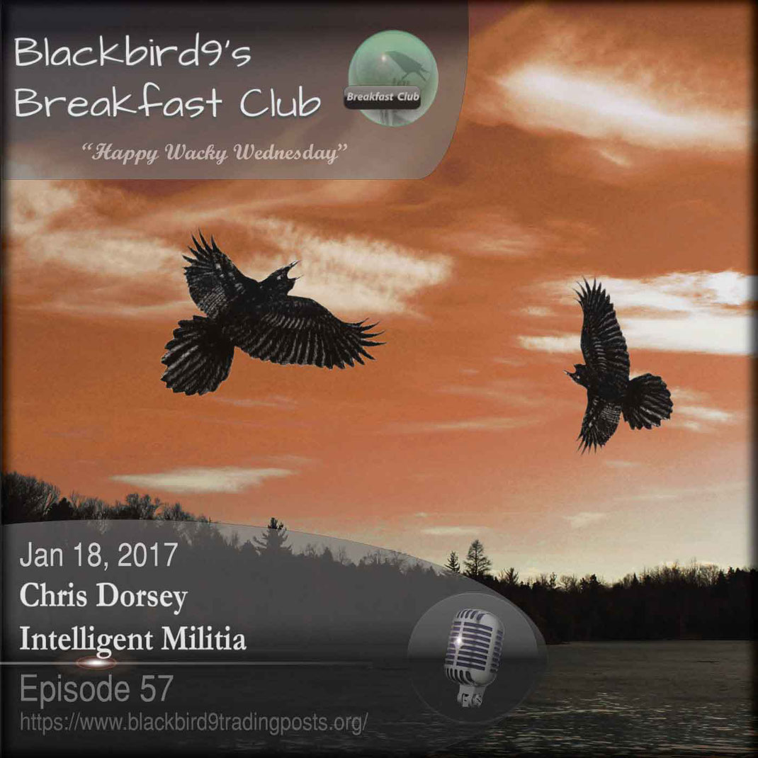 Chris Dorsey's Intelligent Militia - Blackbird9