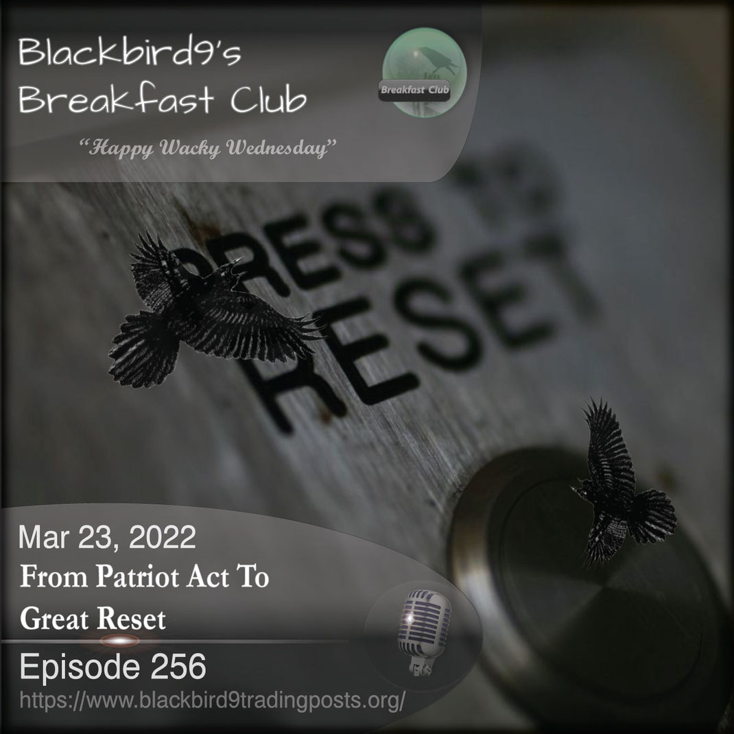 From Patriot Act To Great Reset - Blackbird9