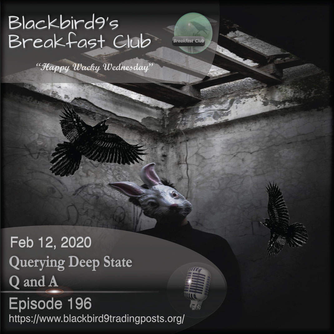 Querying Deep State Q and A -  Blackbird9