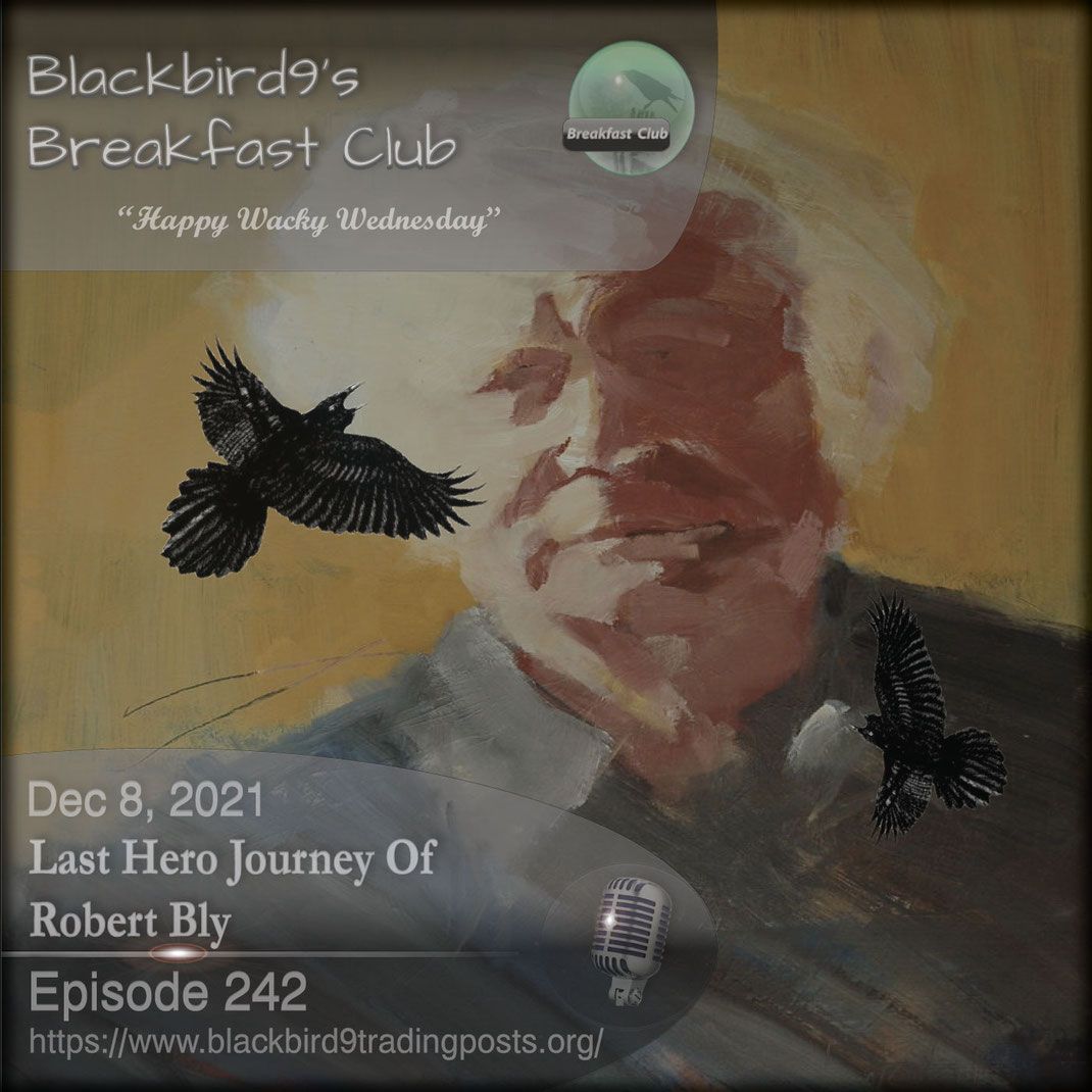Last Hero Journey Of Robert Bly - Blackbird9