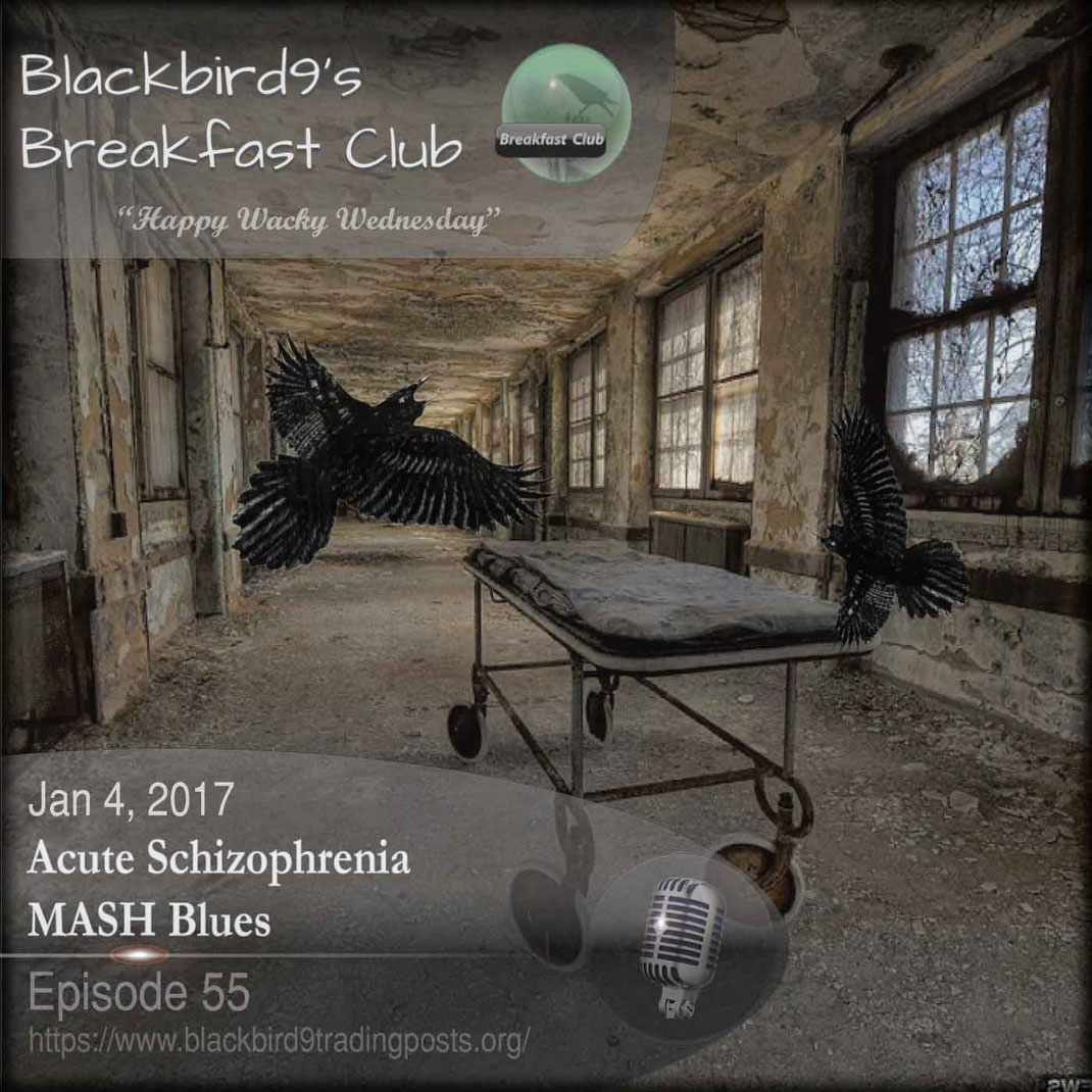 Acute Schizophrenia MASH Blues - Blackbird9 Podcast