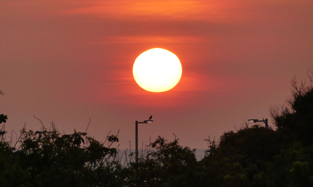 Coucher de soleil à Colombo