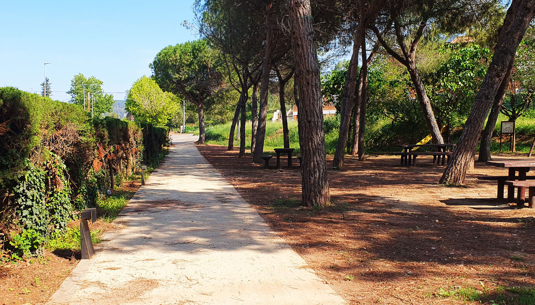 PROJECTE DE MILLORES DE L'ACCESSIBILITAT DEL BOSQUE DE L'APLEC