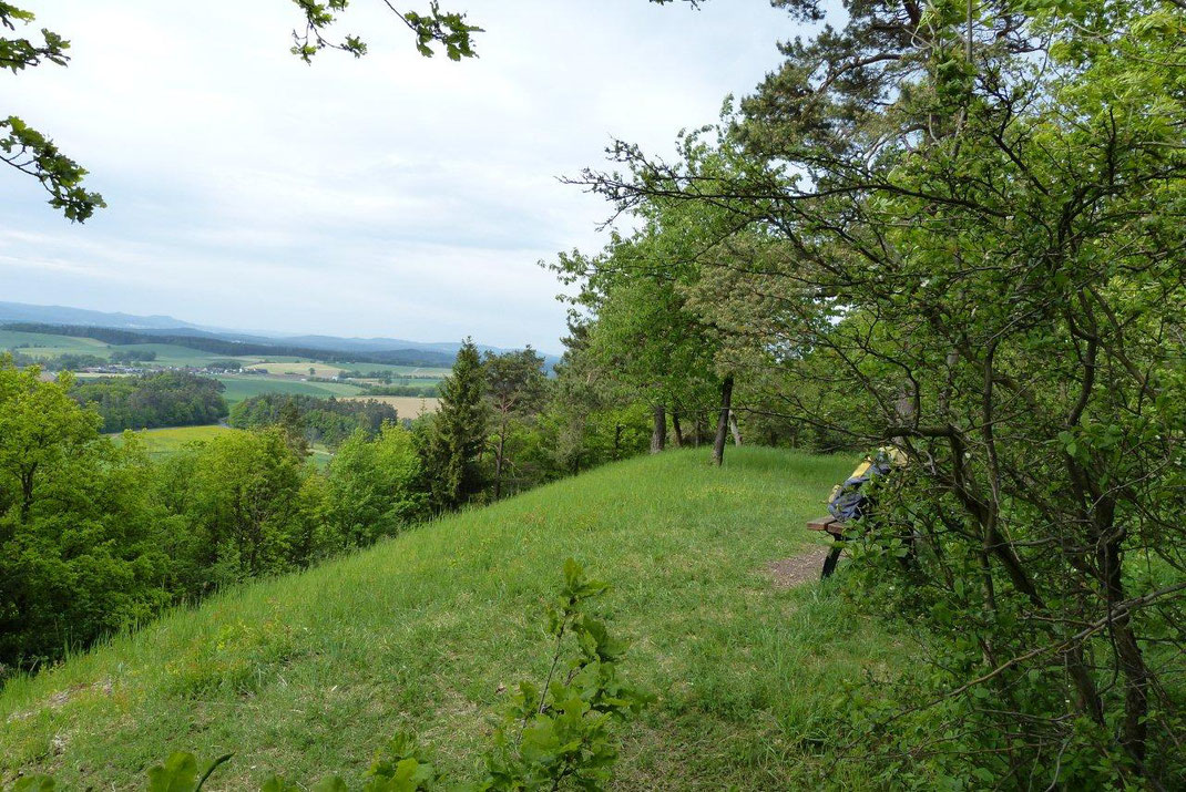 Grandioser Fernblick von den verbliebenen Magerrasen des Spitzbergs. (c) Freimut Brückner