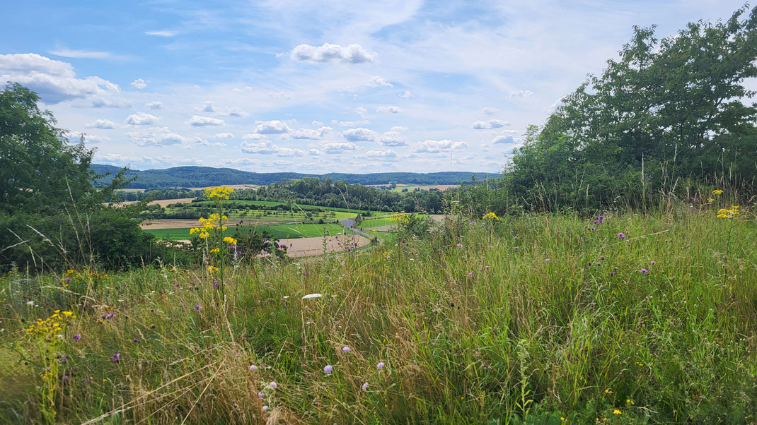 Bayerns Natur ist wunderschön und einzigartig. Der LBV schützt Lebensräume für viele Tier- und Pflanzenarten. (c) Marlene Klisa