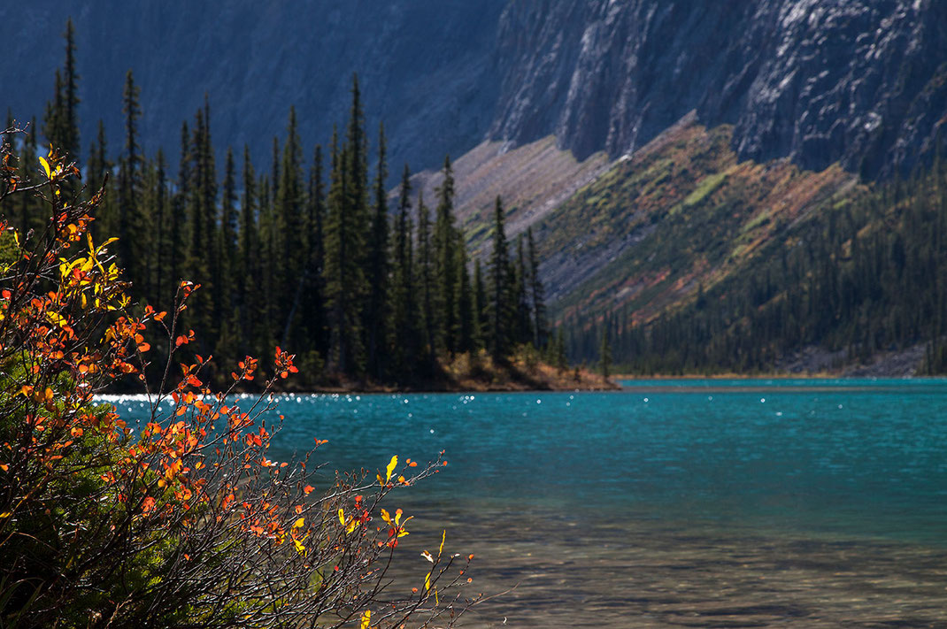 Beautiful turquoise Mountain lake in sunshine with red leaves, Japer National Park, Alberta, Canada, 1280x850px  