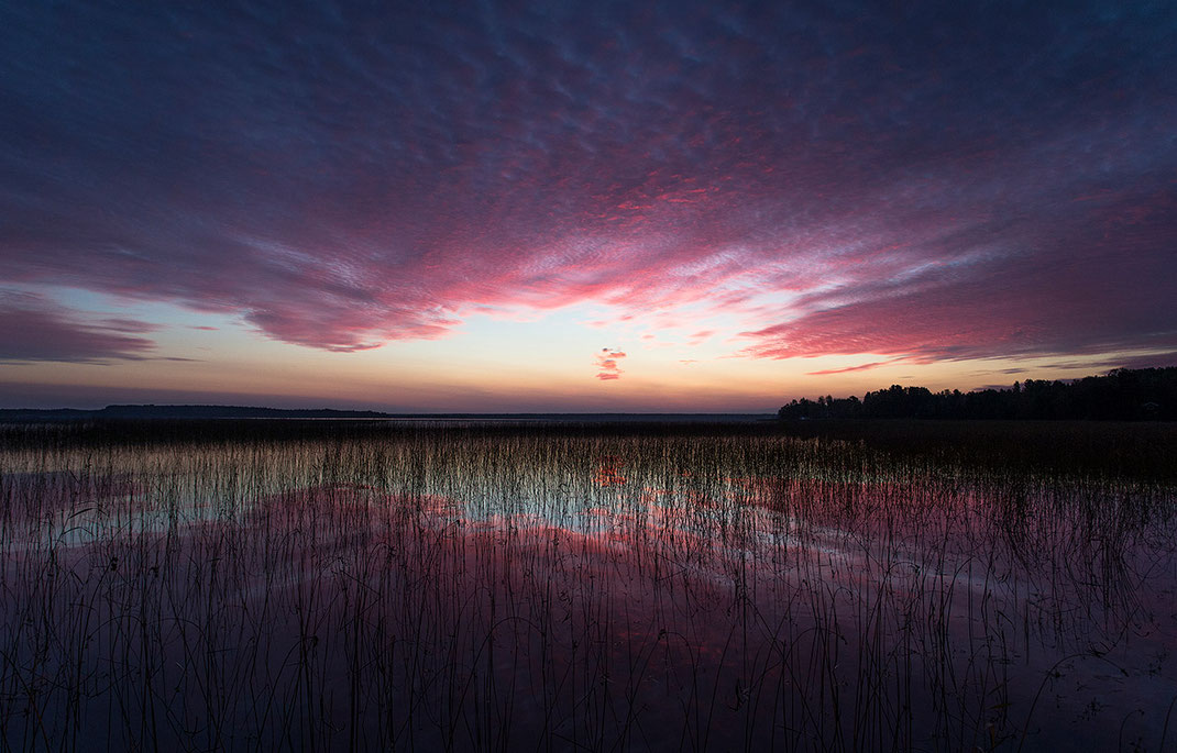 Deep Purple colored sunrise with cloud reflections at a lake in Gaevle, Sweden, Scandinavia 