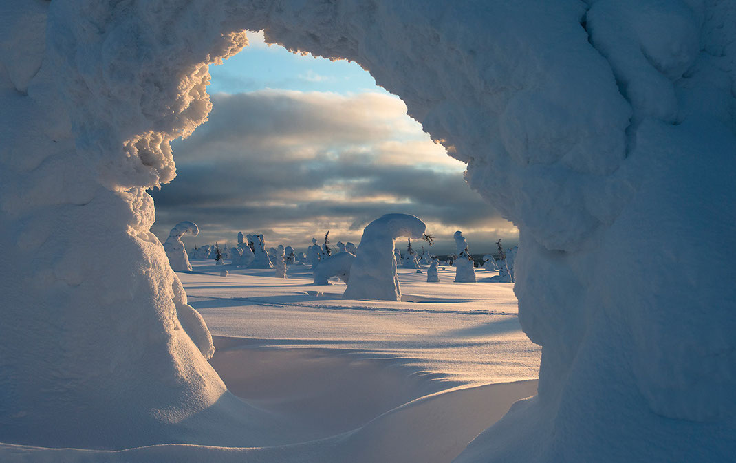 A frozen, bended tree creates a natural window in the Riisitunturin National Park, Posio, Lapland, Finland, Scandinavia 