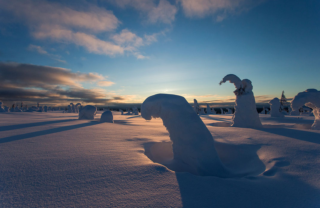 Last warm rays of light, frozen trees at sunset in the Riisitunturin National Park, Posio, Lapland, Finland, Scandinavia 