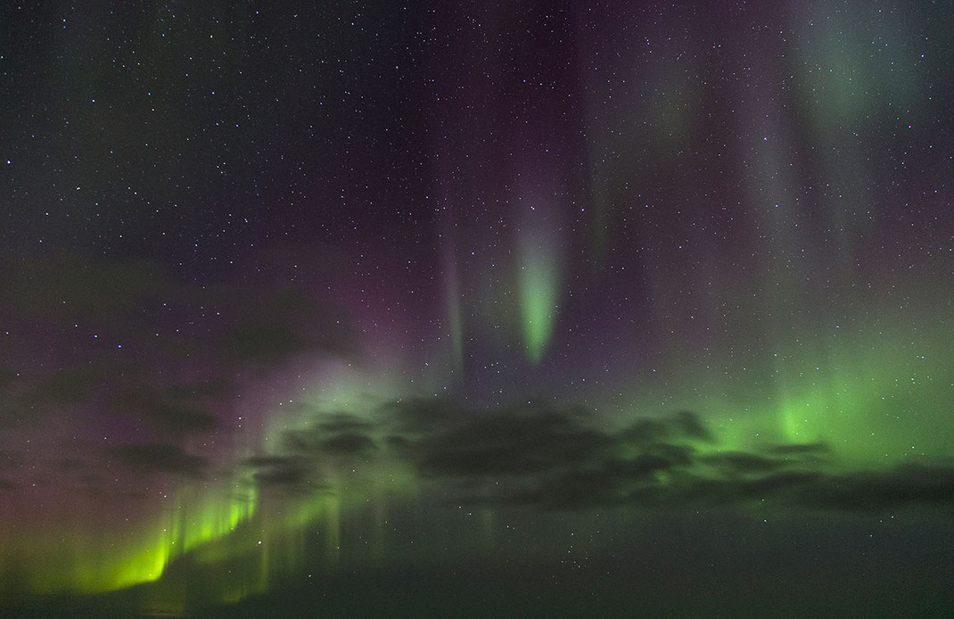 Beautiful Aurora Borealis with purple and green color beams - curtains on Snæfellsnes, Iceland