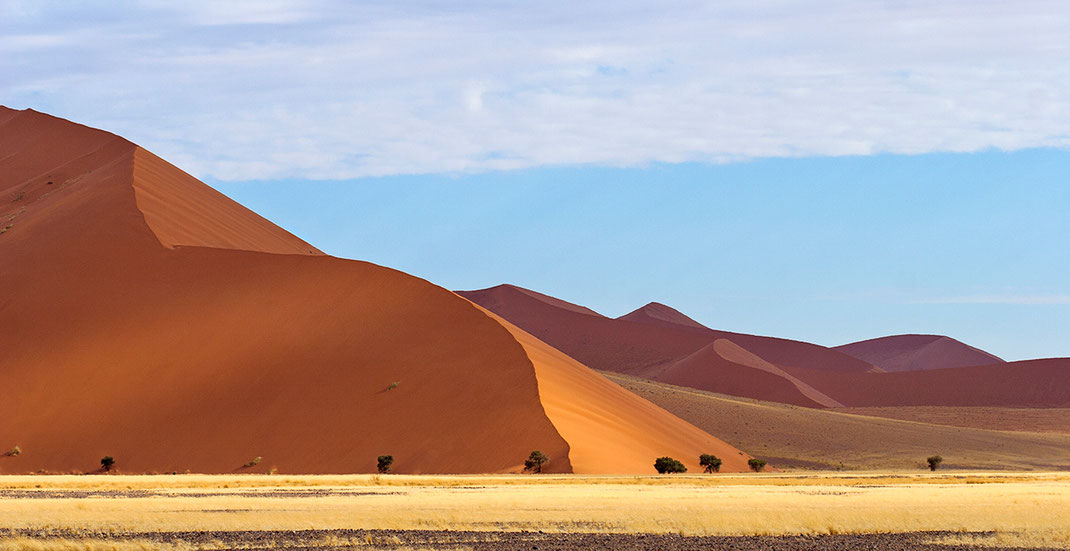 Sossusvlei Landscape, Namib Desert with orange sand dunes and trees, Namib Naukluft Park, Namibia, 1280x659px 