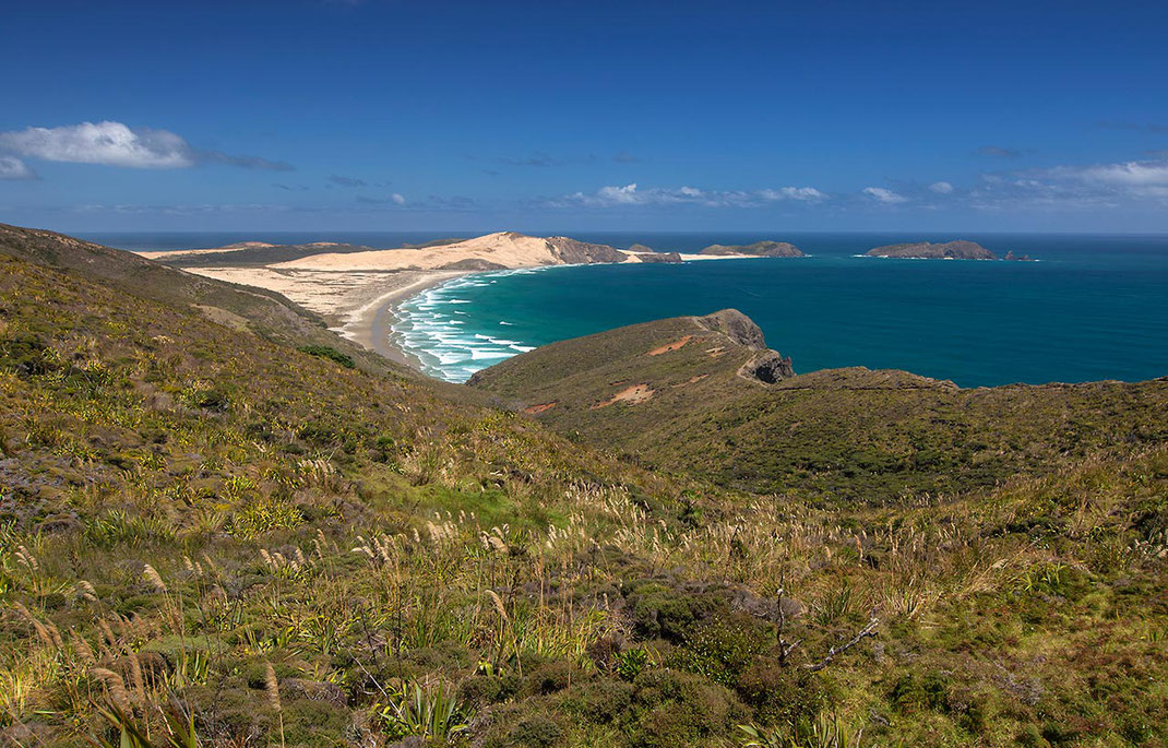 Great Exhibition Bay Cape Reinga with beautiful Pacific beaches, Northern Island, New Zealand, 1280x819px