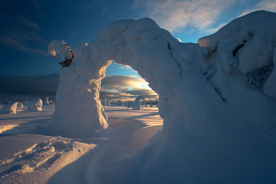 Surreal landscape with frozen trees in the Riisitunturin National Park, Lapland, Posio at sunset in warm colors