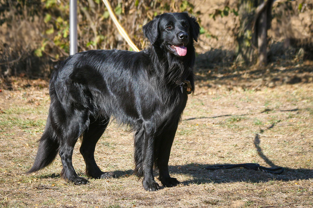 Hutch von der Dünnebecke