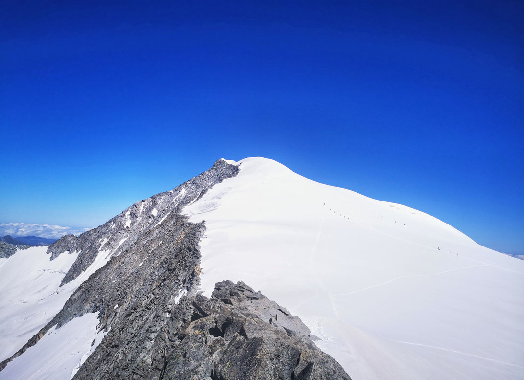Blick zum Großvenediger