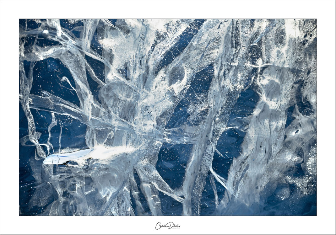 Svalbard; Spitzberg; arctique; glace; cercle polaire; glacier; ours; voilier; croisière; pôle; nord; carnet d'exposition; iceberg; bleu; bleu arctique
