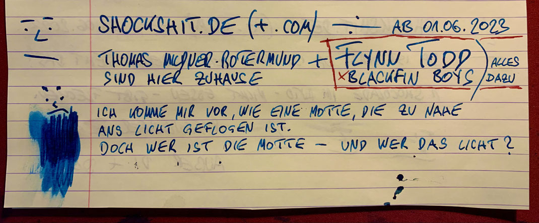 shockshit.de – Da ist was, da ist was! Kein anderer sieht das! Hier sind Thomas Mildner-Rotermund und Flynn Todd in einem Raum!
