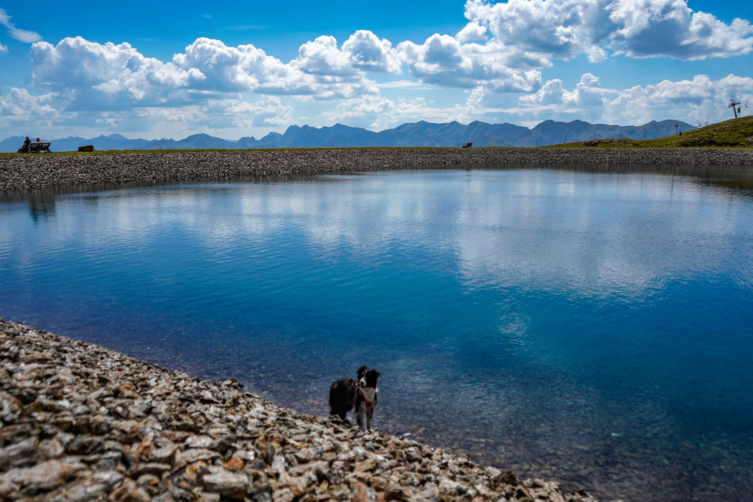 Wandern mit Hund in Österreich, Sillian, Thurntaler