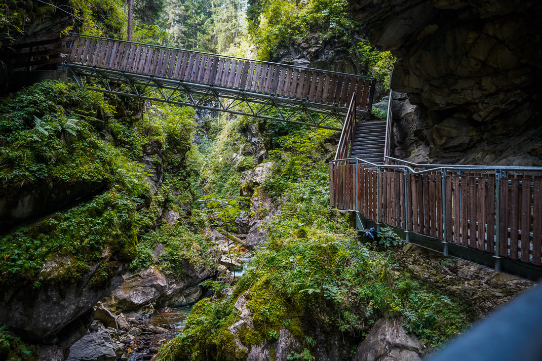 Wandern mit Hund in Sterzing; Gilfenklamm mit Hund