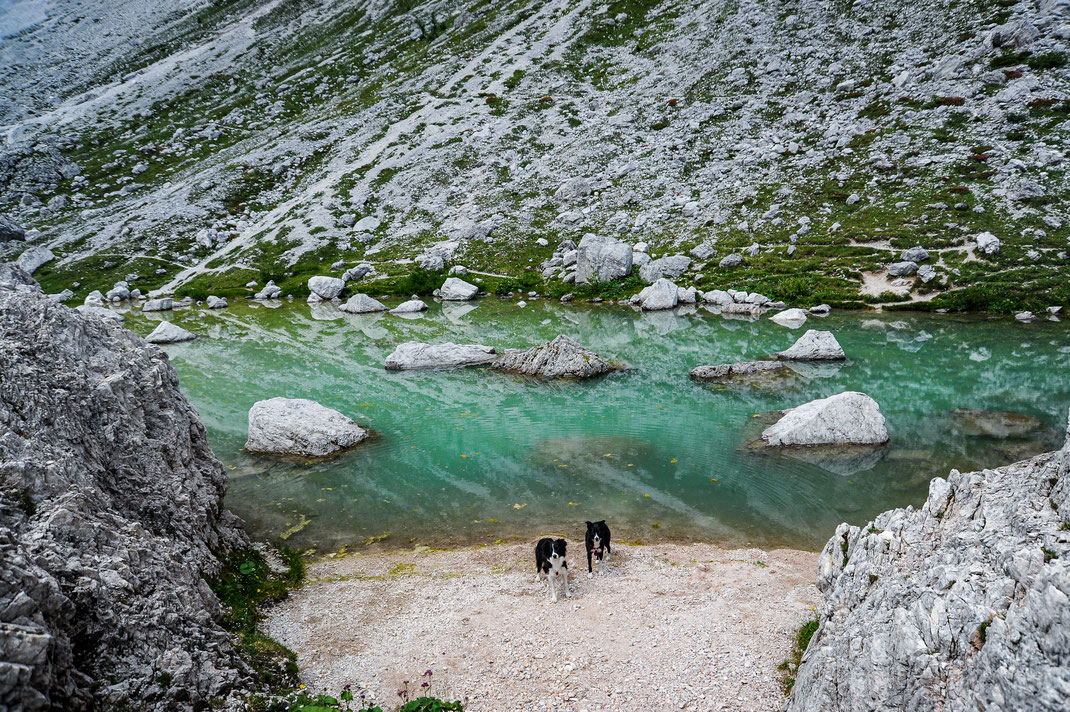 Wandern mit Hund in den Dolomiten zur Berti Hütte