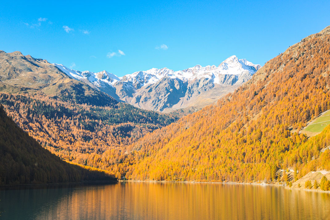 Wandern mit Hund im Vinschgau; Vernagter Staussee Herbst