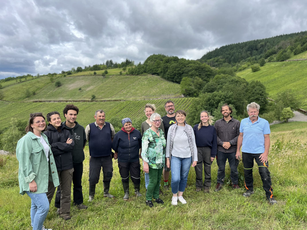 Das gesamte Team vom Weingut Staffelter Hof – jeder trägt seinen ganz persönlichen Experten-Touch zu unserem Familienunternehmen und zum Produkt bei.