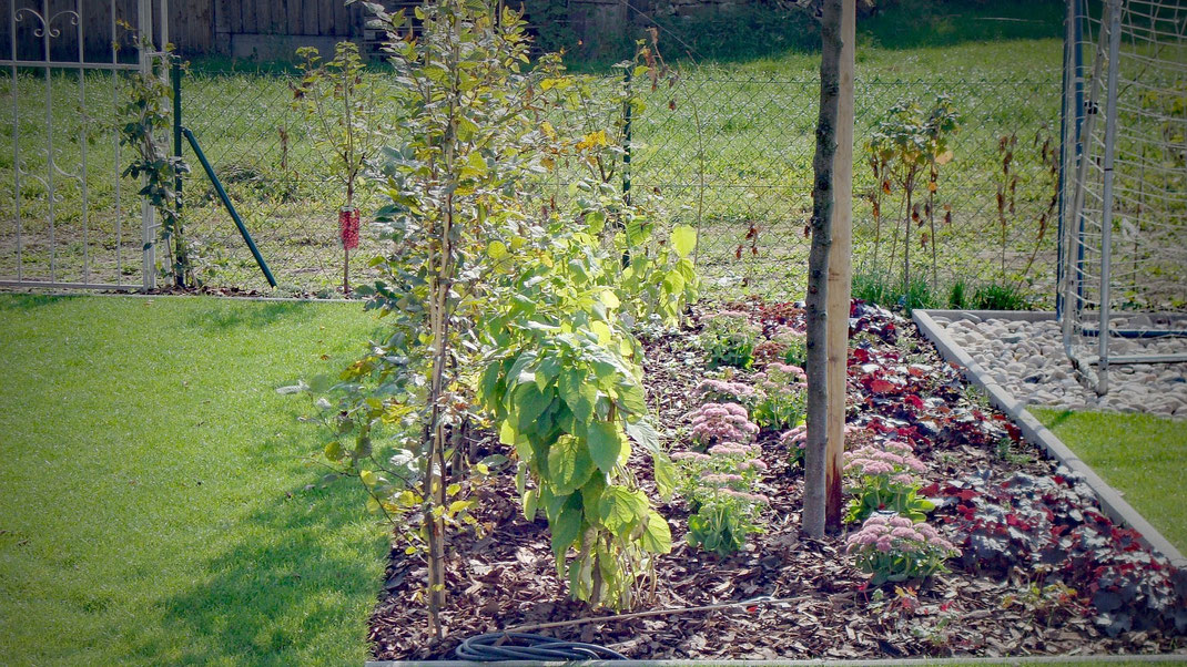 Gartenbau, Erdarbeiten, Bepflanzung