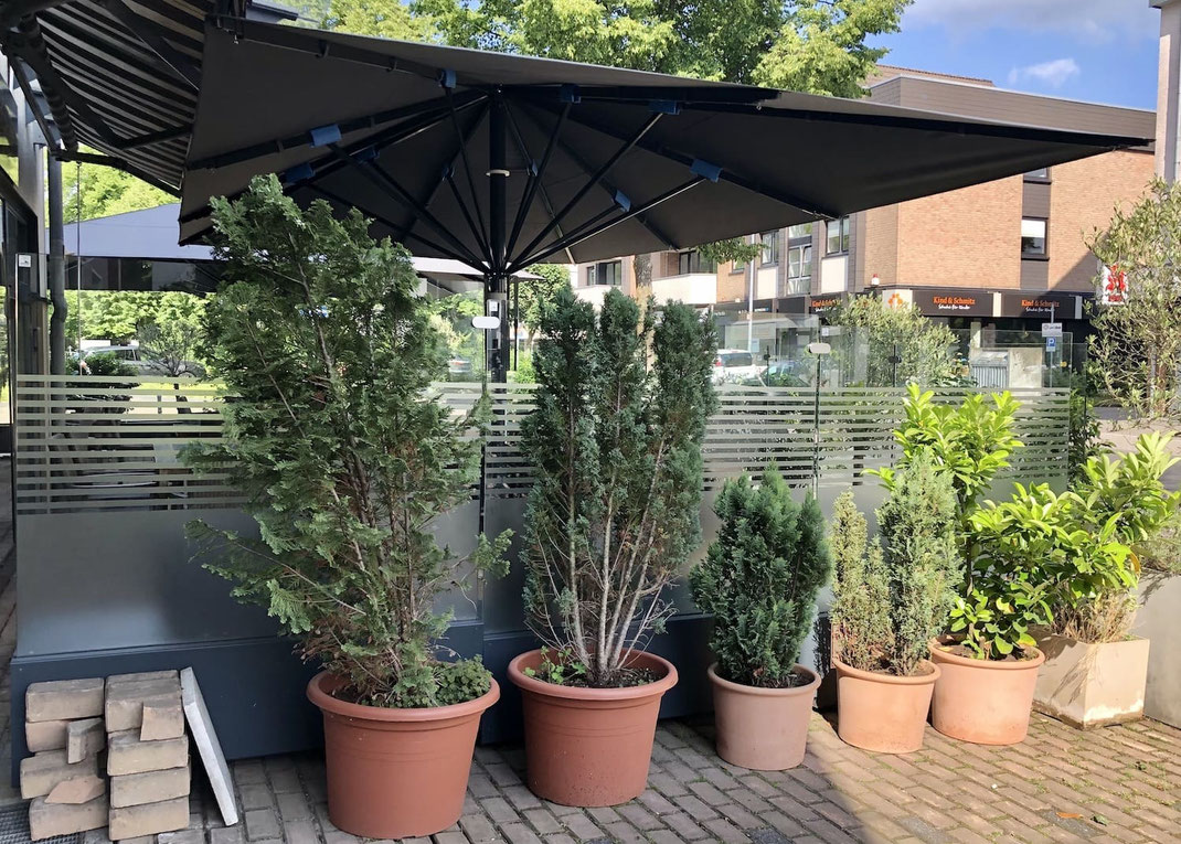 Elegante Terrasse mit einer Windschutzanlage aus wetterfestem Material und Pflanzen zur Dekoration