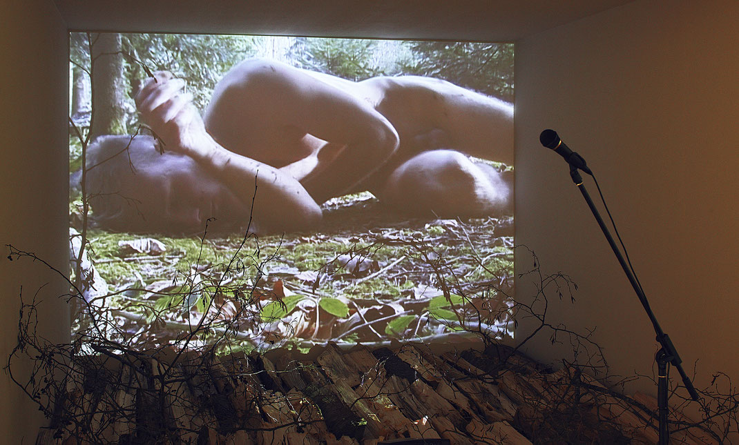 narcissus-and-echo-in-contemporary-art-taxispalais-innsbruck-franticek klossner-interactive-video-installation-with-voice-control