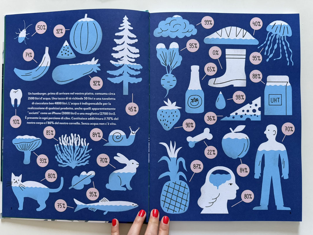 illustrazione con consumi IN PERCENTUALE DI acqua per alimenti e oggetti, libro non fiction per bambini ACQUA, gatto verde edizioni