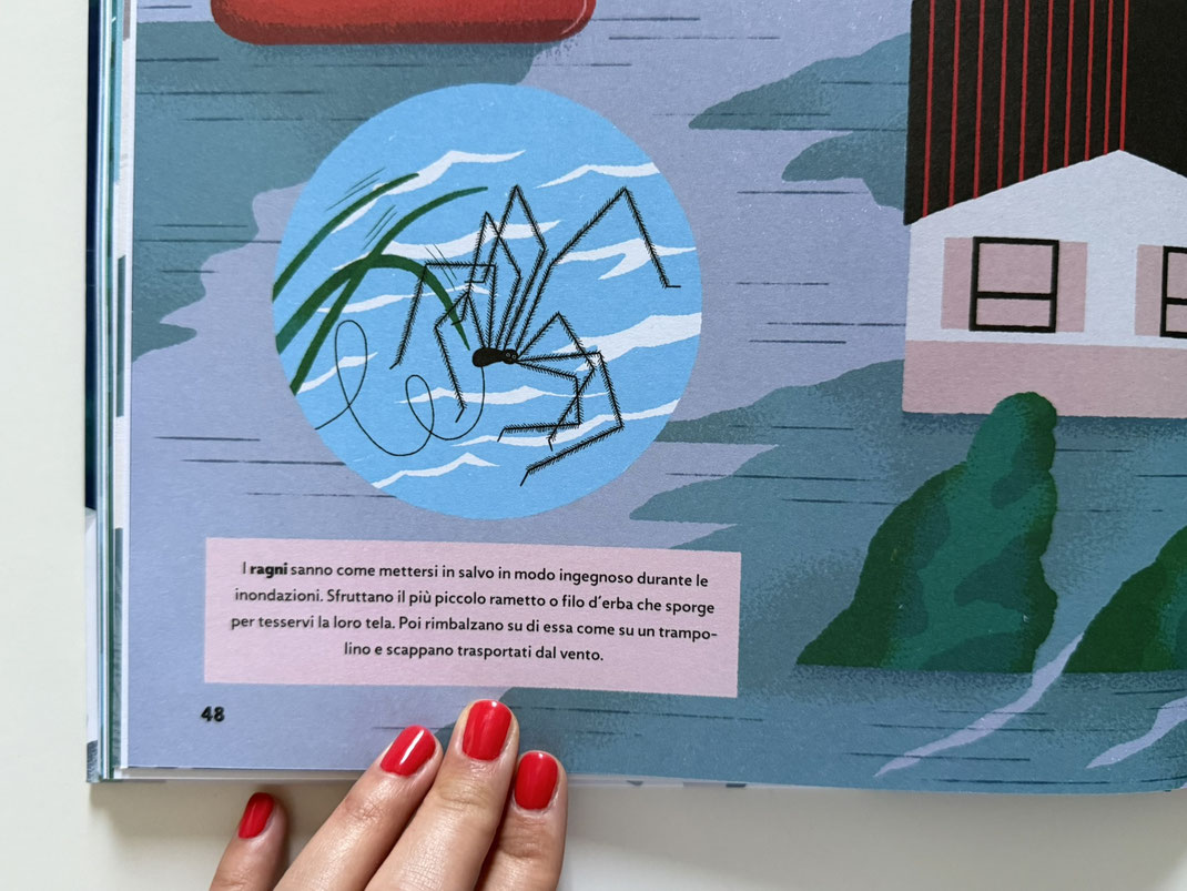 Ragni inondazione sistema di salvezza, libro divulgazione per bambini ACQUA, gatto verde edizioni 