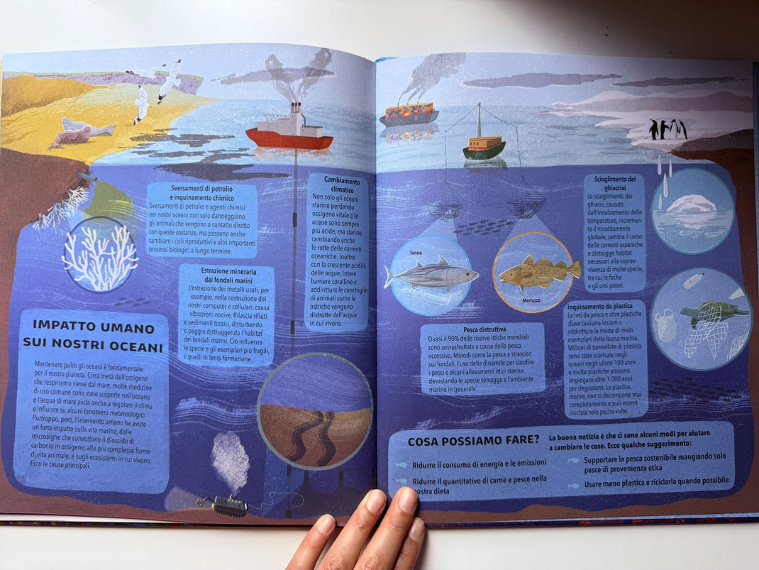 Approfondimento sull'impatto umano sui nostri oceani, testo di Sally Nicholls e illustrazioni di Carolina Rabei, albo "Per fare un oceano"