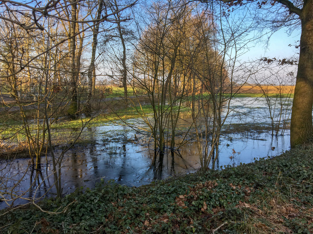 Gedanken und Vorsätze