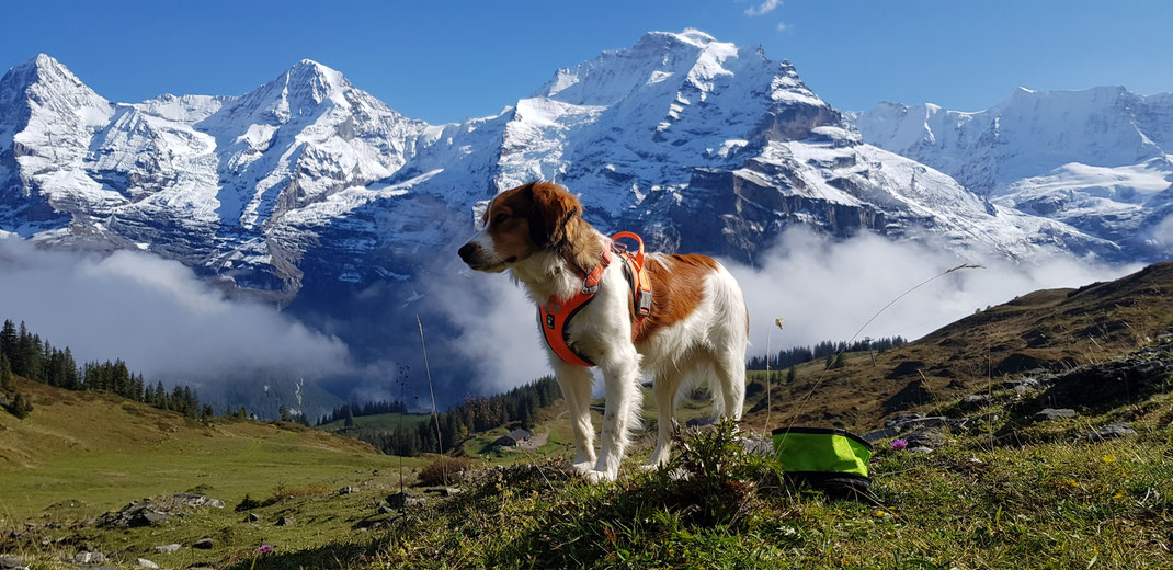 Imposanter Blick von Mürren auf Eiger, Mönch und Jungfrau