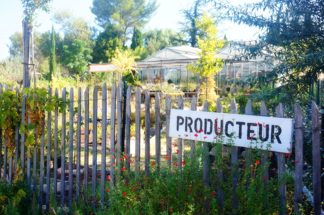 Pépinière en Provence près d'Aix-en-Provence. Producteur de plantes ornementales et conseils professionnels pour réaliser sois-même son jardin.