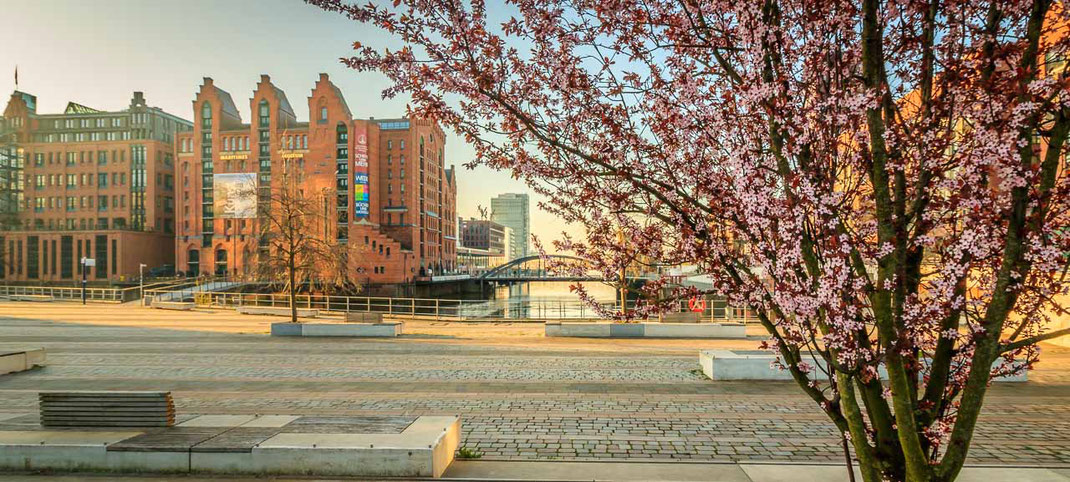 Martimes Museum Hamburg mit Blüten im Vordergrund