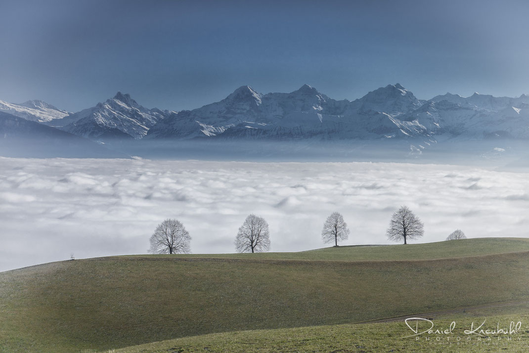 Nebelmeer über dem Thunersee, Berner Oberland, Bern, Schweiz, www.dk-photography.ch, Photographer/Fotograf: Daniel Kneubühl