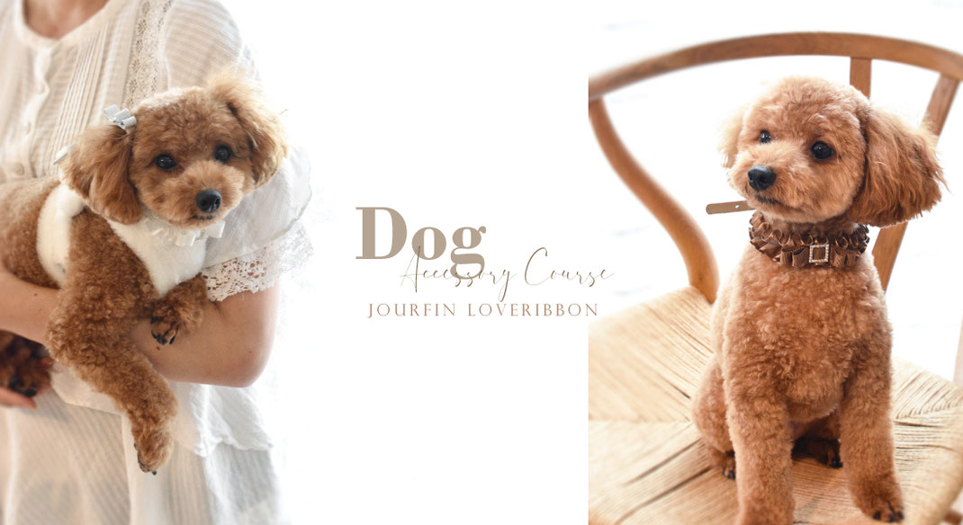 ミミミ様☆理英会ピンポンワーク　新年長〜年長8月計20冊 DogAccessoryCourse - JourFin®公式ホームページ