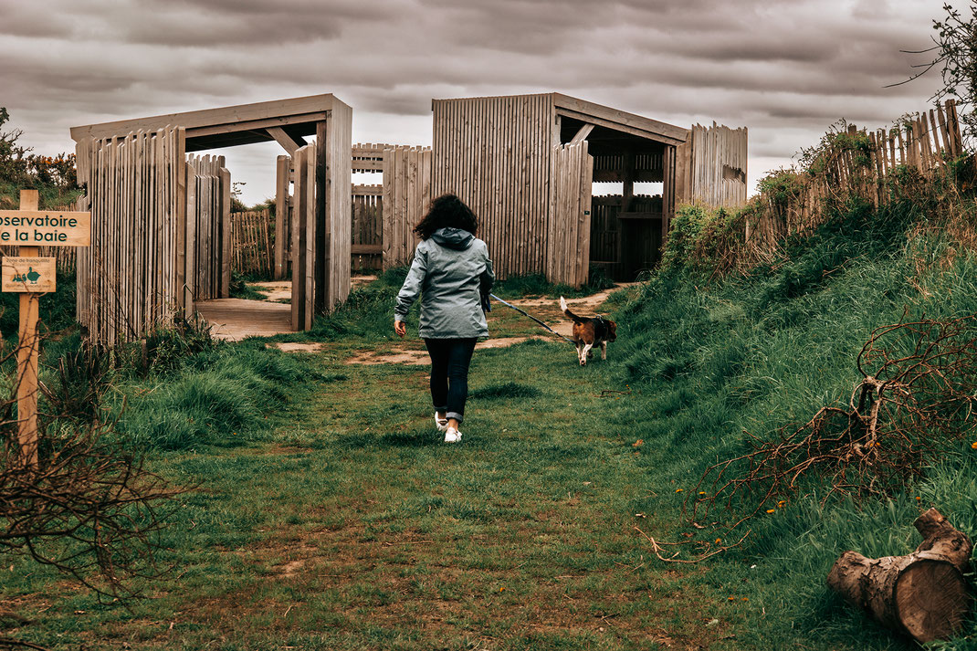Eine Frau läuft mit einenm Beagle auf deem Wanderweg durch die Domaine de Beauguillot in der Normandie.