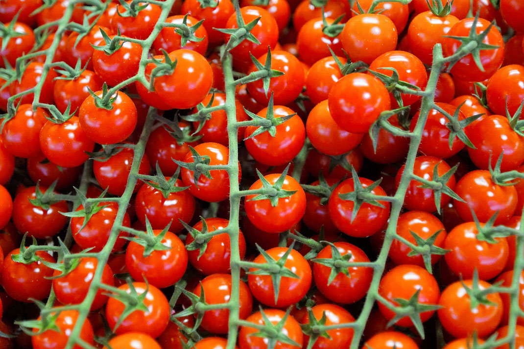 Tomaten, Markt, Wochenmarkt, Normandie, Seine-Maritime