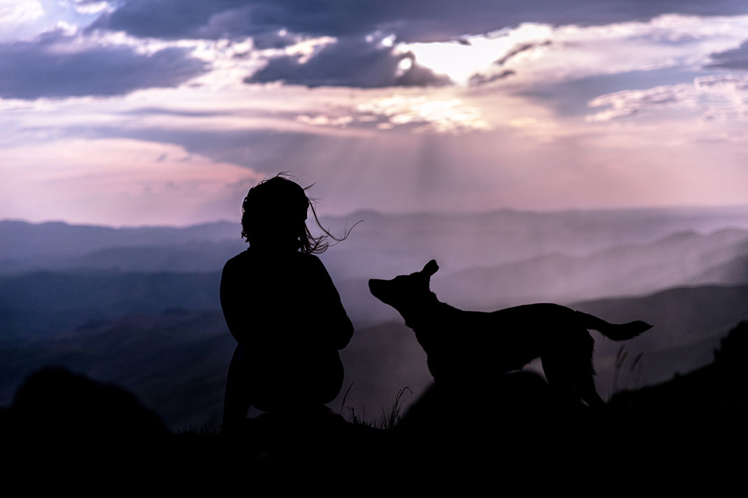 Silhouetten von Frau und Hund vor atemberaubender Bergkulisse. Photo by Patrick Hendry on Unsplash